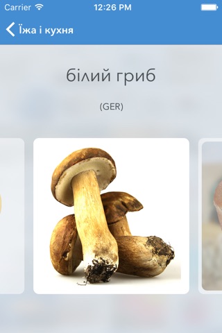 Visual  Dictionary — Deutsch–Ukrainisch  Bildwörterbuch  mit  Übersetzung  und  Aussprache screenshot 3