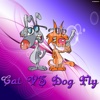 CatVSDogFly