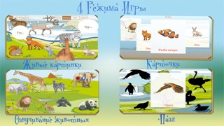 Вундеркинд - мир животных, познавательные игры с детьмиのおすすめ画像2