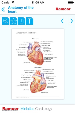 Cardiology Miniatlas screenshot 4
