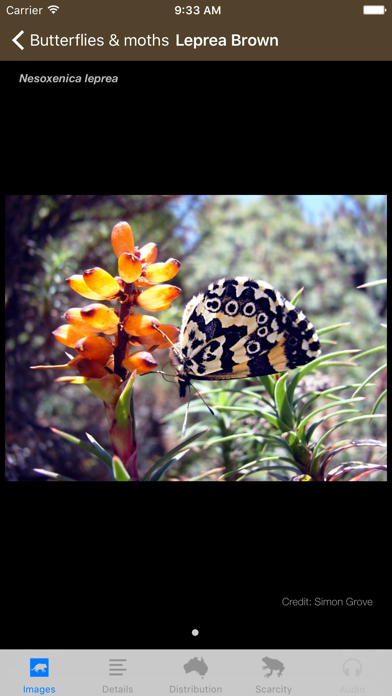 Screenshot #3 pour Field Guide to Tasmanian Fauna