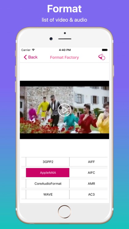 All Video and Audio Format Factory