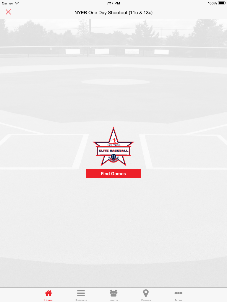 New York Elite Baseball screenshot 7