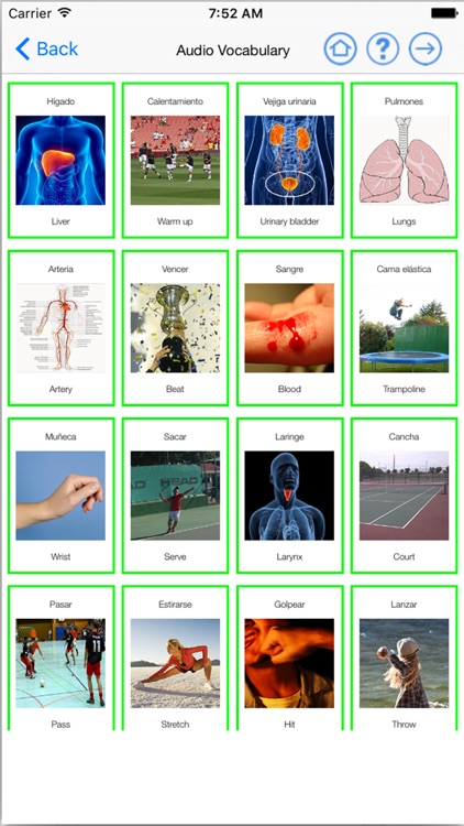 English Flyers 2 Learn Speaking Easily for iPhone