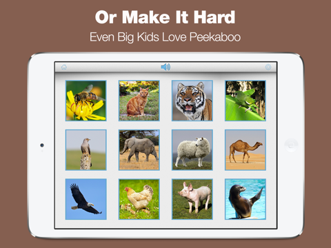 Peekaboo Sounds - Toddler Game iPad screenshot 3 - Education app