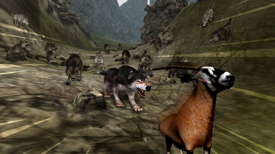 #4. Life Of Wolf 2014 FREE. (iOS) Av: 1Games