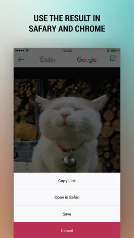 Game screenshot Reverse Photo Search – Free And Easy Image Search hack
