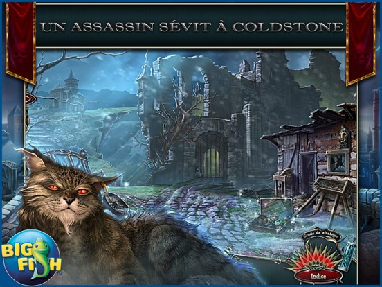 Screenshot #4 pour Grim Facade: L'Amour Vengé - Un mystère d'objets cachés (Full)