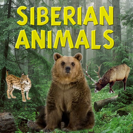 Siberian Animals iOS App