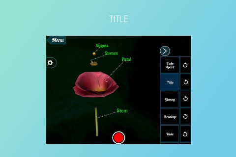 VR Poppy Flower screenshot 3