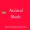 Animals Rush