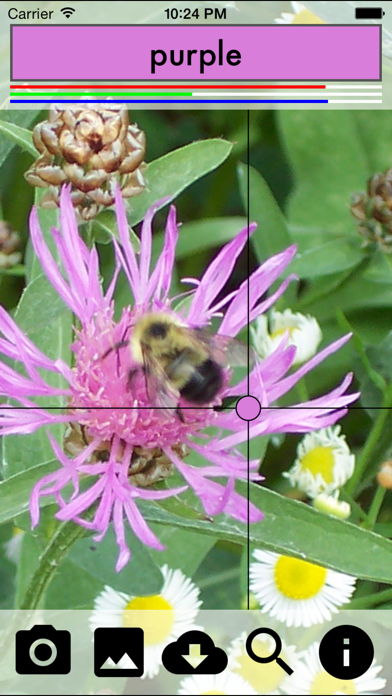 Screenshot #2 pour Color Identify