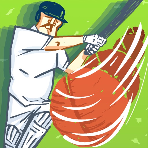 Super Cricket Fighter Turbo icon