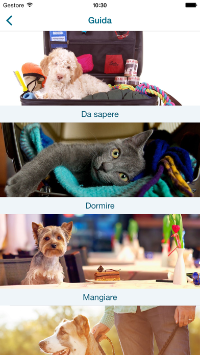 Screenshot #2 pour Viaggiare con Cane e Gatto