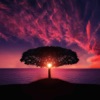 Instant Calming and Relaxing Images - iPadアプリ