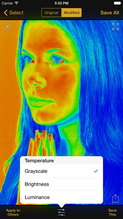 Thermal Camera Effect by Jin Jeon