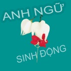 Top 30 Education Apps Like TyGonVOV - Anh Ngữ Sinh Động - Best Alternatives