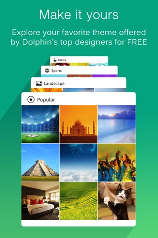 Dolphin Web Browser Pro –Secure Search Explorer screenshot 3