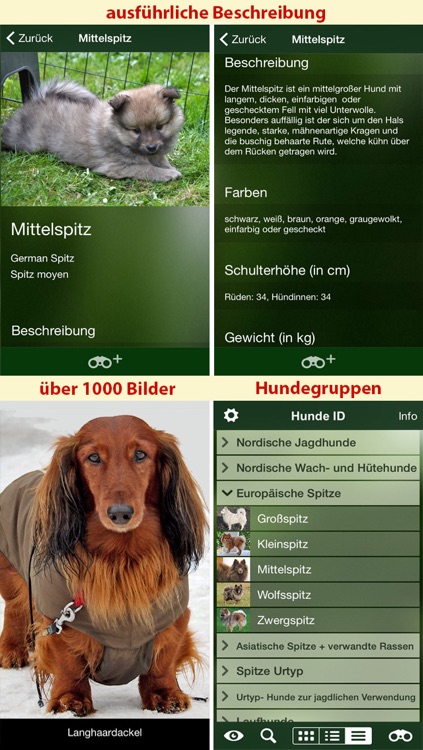 Hunde Id - Welcher Hund passt zu mir? Sunbird Ratgeber zur Auswahl der passenden Hunderasse screenshot-3