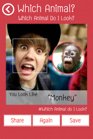 Which Animal Do I Look? screenshot 2