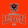 Mudgeeraba Redbacks Junior Rugby League Club