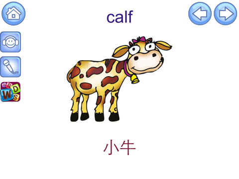 Screenshot #5 pour English Picture Dictionary for Chinese Speakers