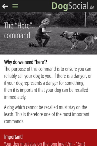 DogSocial Dog Training - Teaching the Basic Commands screenshot 3