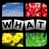 PicMixed Free: How can you guess the 1 word based on the 2 pics for ruzzle, word brain, cube jump