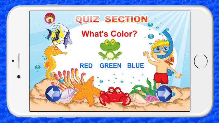 Learning Shape and Color for Kindergarten screenshot-3