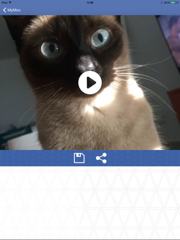 MyMov Photo to Video Editor - Convert your photos in videos slideshows iPad screenshot 4 - Photo & Video app