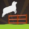 Count Sheeps: game to sleep better