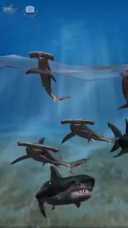 shark fingers! 3d interactive aquarium free айфон картинки 1