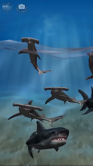 Скриншот Shark Fingers! 3D Interactive Aquarium FREE на iPhone 1