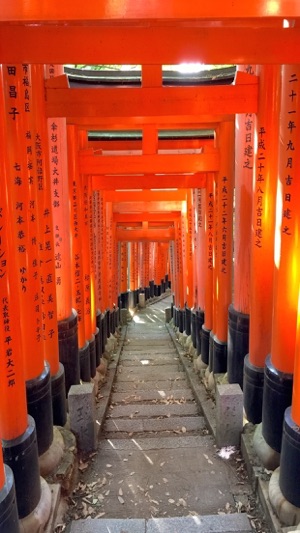 HDR⁴(圖4)-速報App