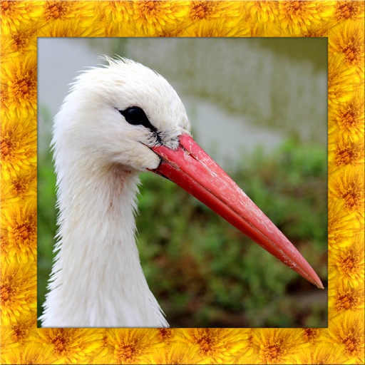 Stork Simulator iOS App