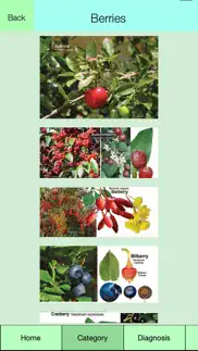 edible plant guide iphone screenshot 2