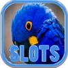 The Hyacinth Macaw Slots - FREE Las Vegas Casino Spin for Win