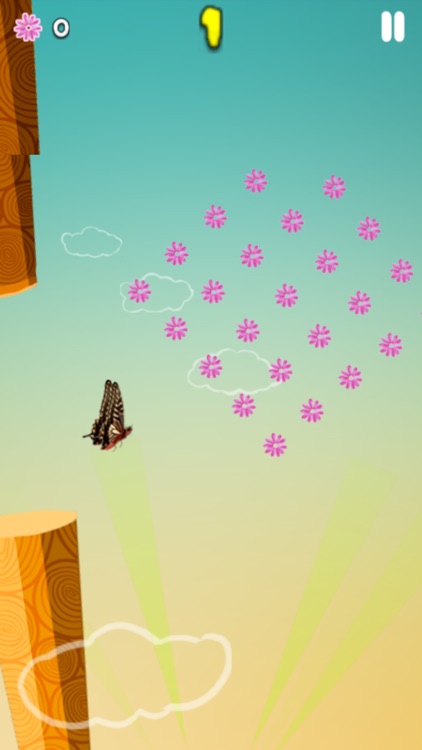 Jungle Escape - Through The Jungle Butterflies Free