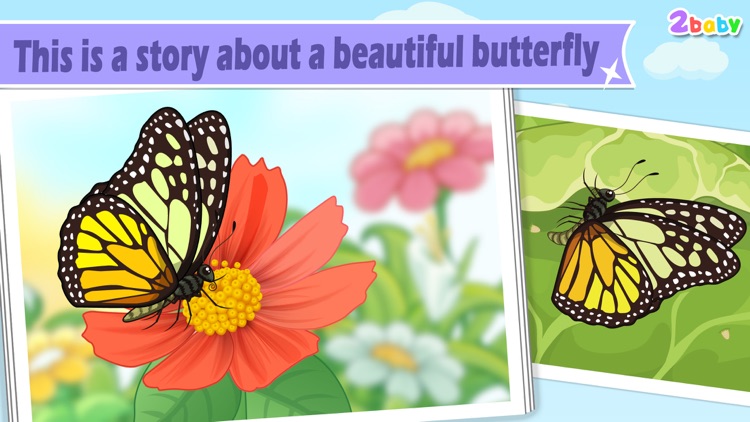 Butterfly - InsectWorld A story book about insects for children