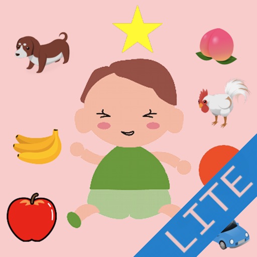 Various Touch Lite icon