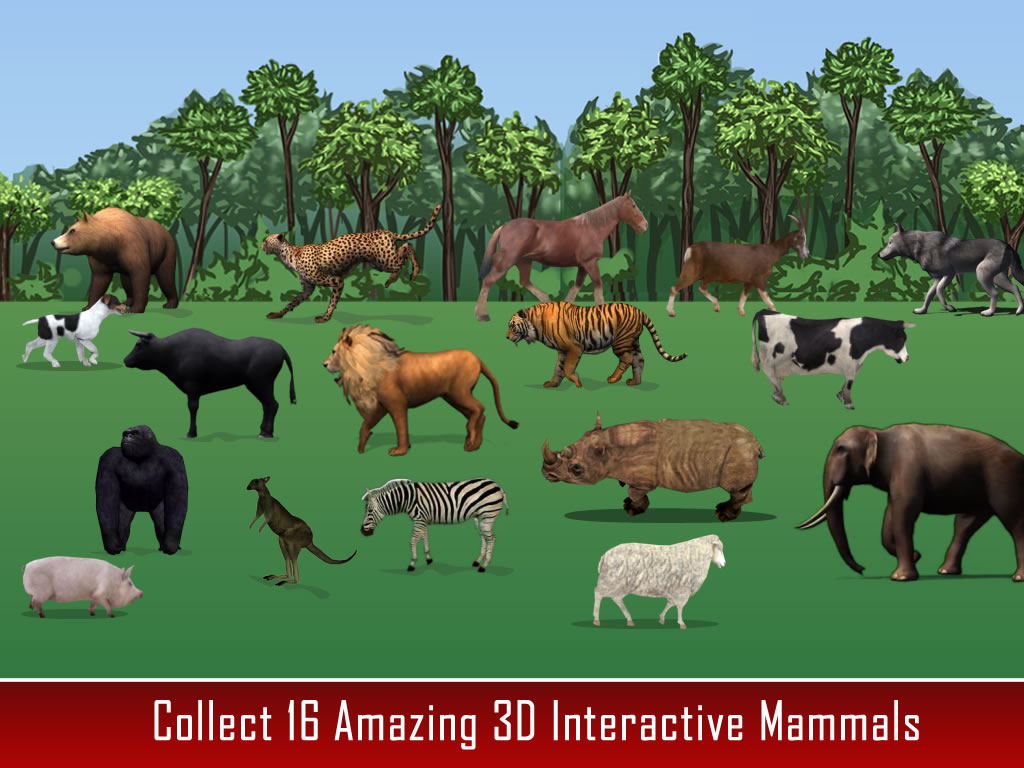 Animal Kingdom Grammar For Kids