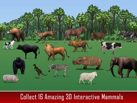 Screenshot #6 pour Animal Kingdom Grammar For Kids