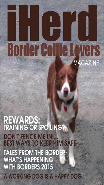 iHerd: Border Collie Lovers Magazine screenshot-4