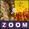 Icon Zoom Quiz - Guess what is the picture, new fun puzzle!