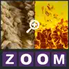 Zoom Quiz - Guess what is the picture, new fun puzzle! negative reviews, comments
