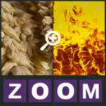 Zoom Quiz - Guess what is the picture, new fun puzzle! App Problems