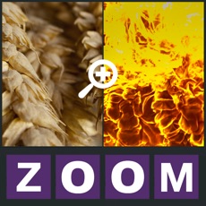 Activities of Zoom Quiz - Guess what is the picture, new fun puzzle!