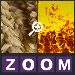 Zoom Quiz - Guess what is the picture, new fun puzzle! app icon