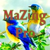 MaZingPro