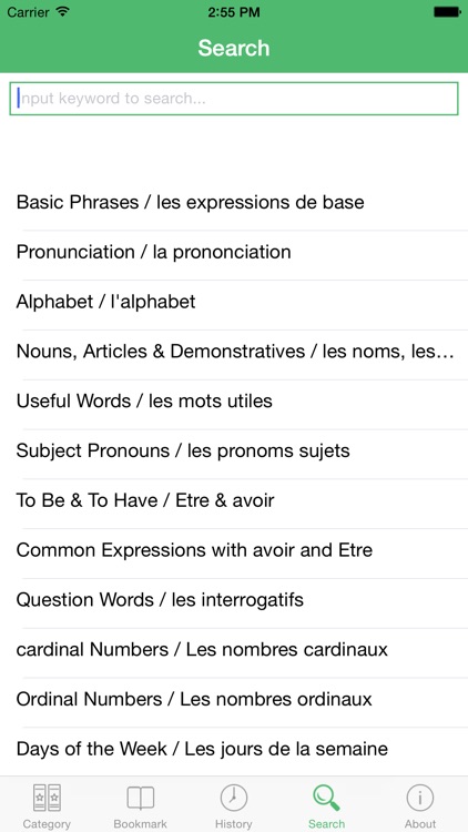 French Tutorial: Basic Phrases, Vocabulary and Grammar with Pronunciation screenshot-3